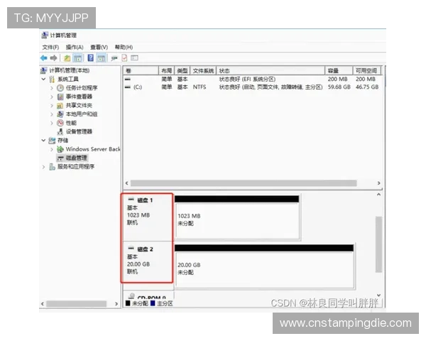 如何快速登录AG视讯官网首页，最佳操作步骤与常见问题解答
