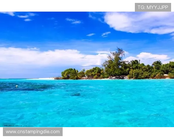 菲律宾欧博官网官方平台全面介绍，助你轻松掌握最新优惠与玩法